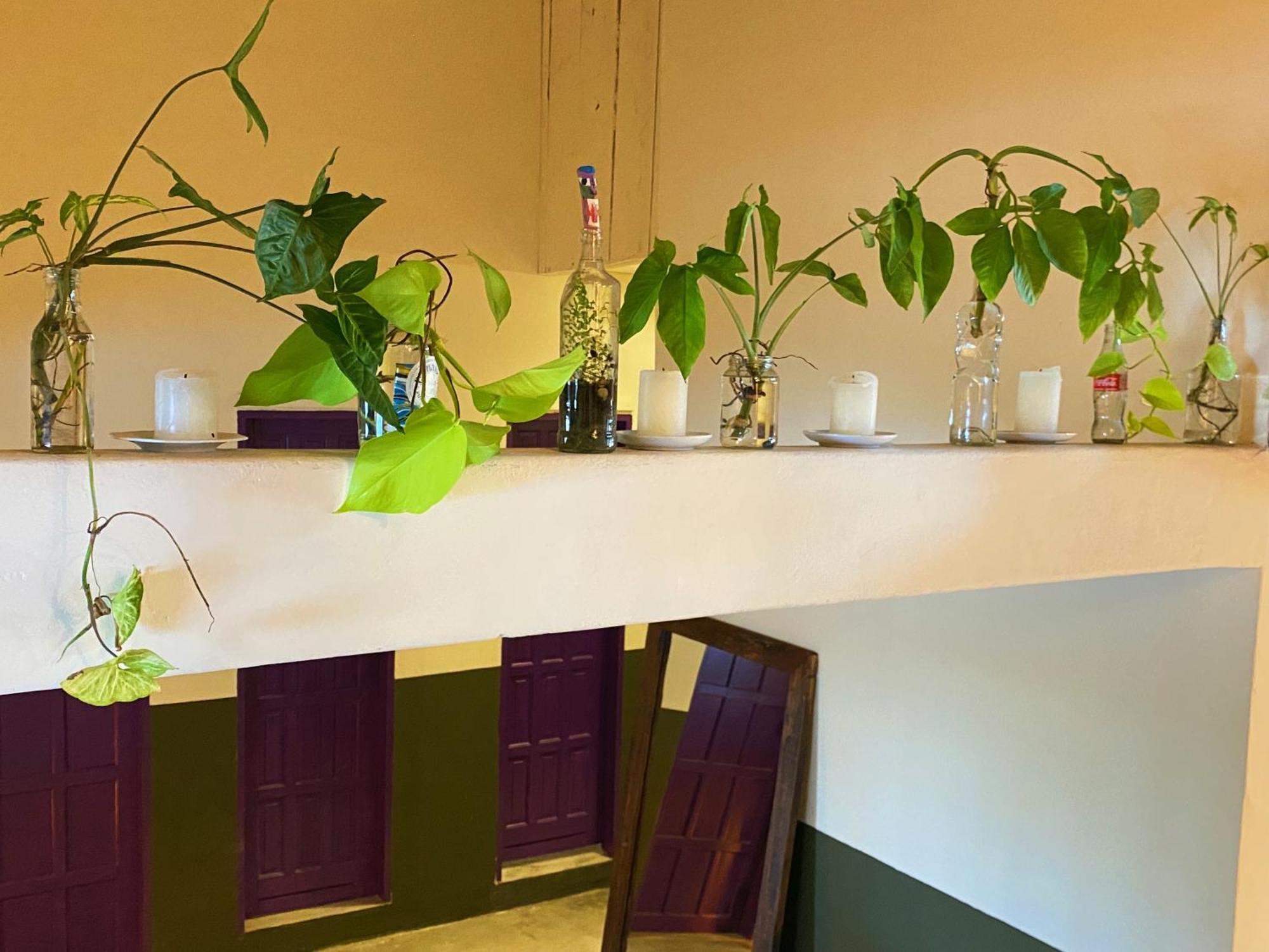 Teiu Hostel Trancoso Eksteriør billede